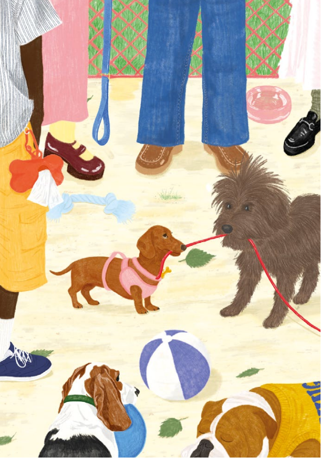 puzzle-100-pieces-made-in-france-chien-teckel-bouledogue-2